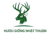 Trại Hươu Sao Giống Nhật Thuận – Hương Sơn – Hà Tĩnh – Hotline: 0943.424.525 – 0968.424.525